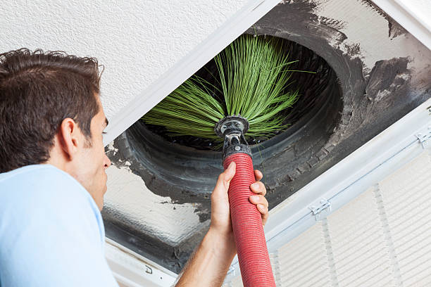 Best Air Duct Cleaning Near Me  in Jamestown, ND